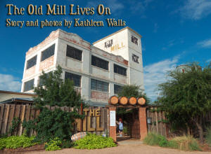Old Mill In Abilene, TX