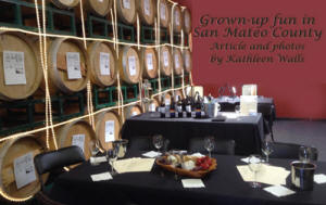 Winery in San Mateo County with wine barrels in background and tables with snacks in front  used as header photo